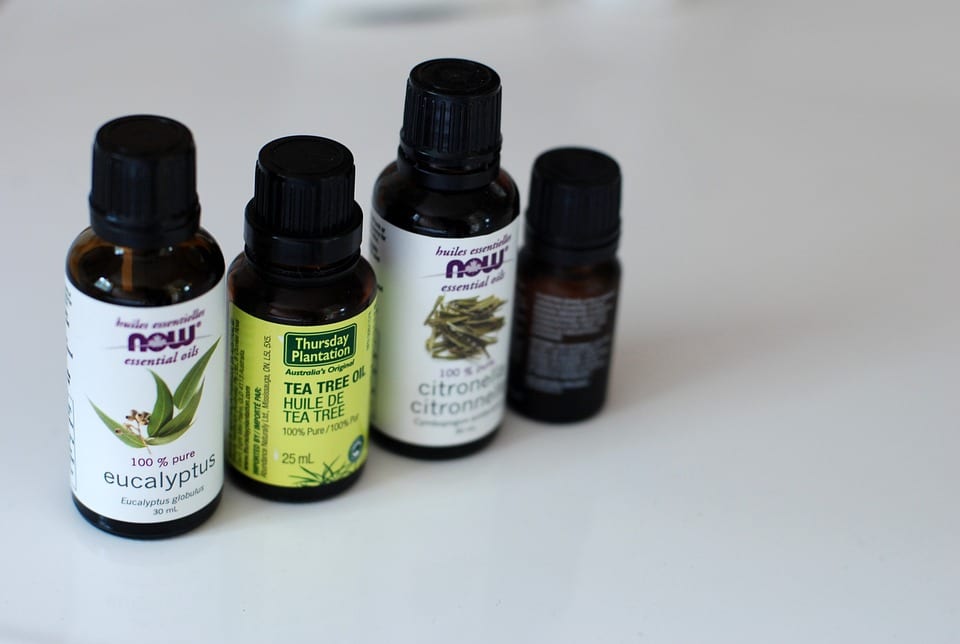 Jak využít Tea tree oil?