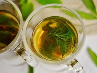 Jaké bylinkové čaje pomáhají při migréně?