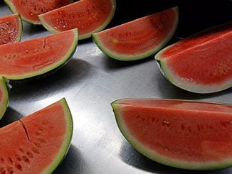 Jak udělat melounový sorbet s citronem?